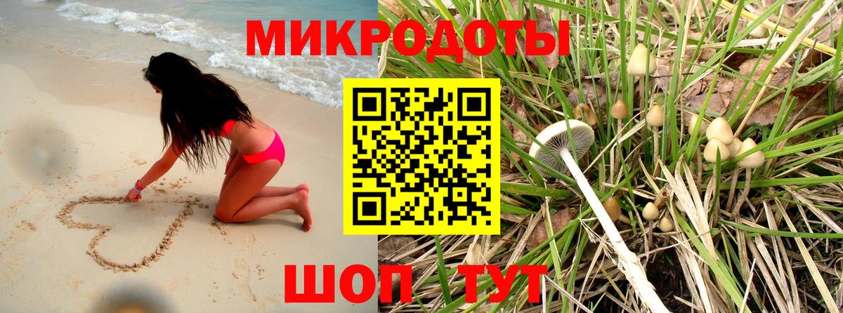 Псилоцибиновые грибы Cubensis  Псилоцибиновые грибы Psilocybe  Баксан  Вход с VPN 